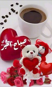 20K views · 170 reactions | Ben Hamouda on Reels | Facebook