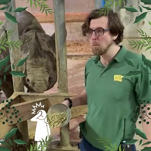 We’re zookeepers… 😜 #zooteam #silly #allthelols #meettheteam | Folly Farm Adventure Park & Zoo