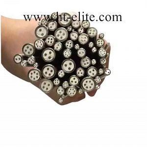 [Hot Item] Ss310 SS316 Mineral Insulated Thermocouple Cable 2 Cores Type K