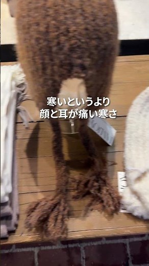今回は渡韓前に必ずチェックしておきたい「韓国2月の服装ポイント」をまとめました🩵 #渡韓準備 #韓国旅行 #海外一人旅 #韓国コスパ旅 #旅行