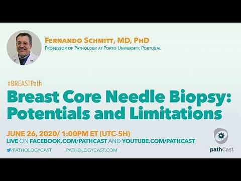 Breast Core Needle Biopsy: Potentials and Limitations - Dr. Schmitt (Porto University) #BREASTPATH
