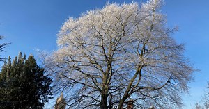 Season's greetings from Pembroke College | Pembroke