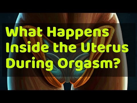 What Happens Inside the Uterus During Orgasm?