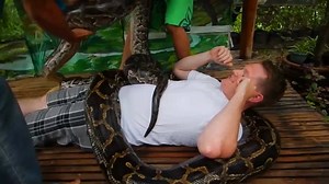 Want a python massage? Then go to this zoo in the Philippines. | Insider
