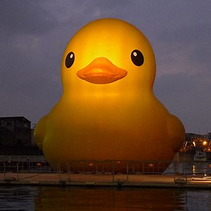 7 Things You Need to Know About the Giant Rubber Duck | Pittsburgh Magazine