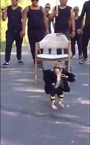 22K views · 373 shares | အနာဂတ္ရဲ႕ ဂိုဏ္းခ်ဳပ္ ဆုိလားပဲ HAP (Ctedit - ‎Pandi Rajan) | Pyi Myanmar | Facebook