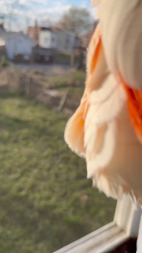 106 reactions | Spring has sprung, and what better way to celebrate...