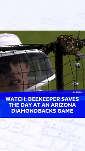 4.8K views · 26 reactions | Watch: A swarm of bees delayed a major...