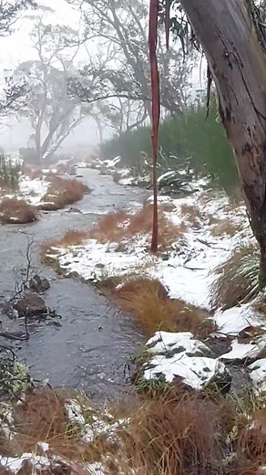 #sunrise #waterfall #beach #australia #nswparks DedererLive - Adam Dederer | DedererLive - Adam Dederer