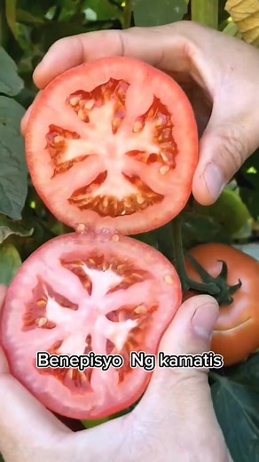 Benepisyo ng Kamatis #kamatis #tomatoes | Liza Vlogs