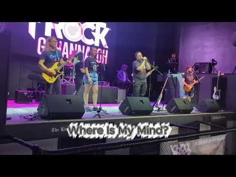 Adult Band - Where Is My Mind