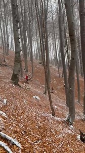 11K views · 122 reactions | Ski Azuga on Reels | Facebook