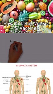 1.5K views · 66 reactions | The virus/microbe is nothing, the...