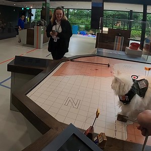 Lovely visit to the Battle of Britain bunker! 🐱🫡🇬🇧 Battle of Britain Bunker, Uxbridge #gatos #michis #kissa #pishi #pusa #kot #kit #chat #kedi #katze #gatto #katt #貓 #ネコ #고양이 #kucing #kotek #cats #cat #catlife #pets #catoftheday #sigrid #london #ww2 #battleofbritain | Travis and Sigrid