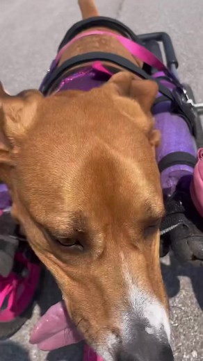 2.5K views · 568 reactions | 24/7 Mood ⁣⁣⁣⁣⁣⁣....