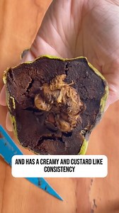 3.4K views · 28 reactions | Black Sapote is back! #specialtyproduce #fruit #blacksapote #interestfruit | Specialty Produce | Facebook