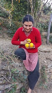 53K views · 3.4K reactions | Is fruit ka naam kya hoga  #shrutipahari #pahari #fruit #orange #chor #himachalpradesh #pahadan | Shruti Pahadi | Facebook