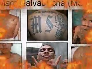 Gang Task Force - gangtaskforce.blogspot.com