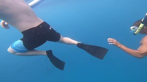Hard not to love these playful spinner dolphins! 😍 | Hawaii Experiences