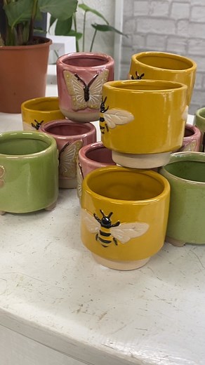 FRIDAY 🎉 New In! Calathea Crocata - Eternal Flame 🔥 A perfect choice for plant lovers who love elegance & style. Two types of Sanseveria…. Fernwood & Kirkii. New cute bugs pots….. Butterflies, Bees, Dragon flies. #calatheacrocata #eternalflameplant #plantaddict #houseplantlove #indoorjungle #greenthumb #tropicalvibes #prayerplant #otley #sanseveria #plantsdotcom_uk | Plants DOT Com