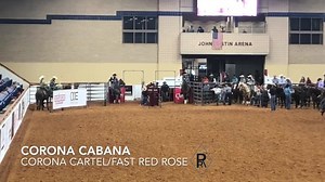 Bobby Mote roping on Corona Cabana at the Rope Horse Futurity in Fort Worth, TX. #RelianceRanches #secondcareer | Reliance Ranches
