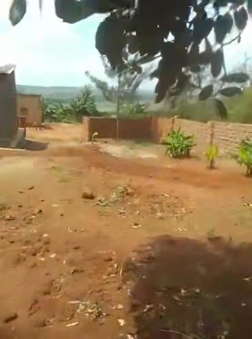 A very nice and huge Residential Plot situated at Colline Kayovu in Gashora Sector / Bugesera District. The Place contains some houses and gives you a spectacular view on Kilimbi Lake which makes it unique. Contact us on WhatsApp 250 788485830 for more details! | Buy Land in Rwanda