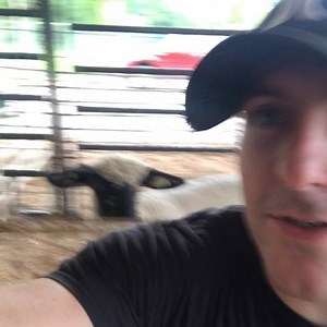 Robertson County Fair! Livestock and pop rock! #home #2piecerockandroll #locals #hometown #poppunk #heybrodoyouevenlift #nobodywantstobeahipster #livestock #tractorpull | I Am Spartacus