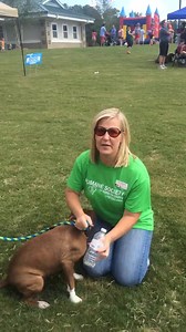 2K views · 72 reactions | Coco and our fabulous volunteer Stacy Pipping challenge YOU!!! #kissedbyapitbull Come on up to the shelter and get your kisses!!! (KB) | Humane Society of Forsyth County, GA | Facebook