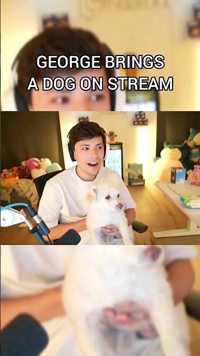 George Needs A Pet Dog!! #georgenotfound #dreamteam #gnf