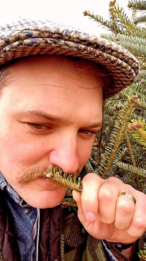 🌲🎁➡️Pentraeth! | Welsh Whisperer