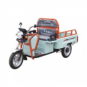 [Hot Item] Small 500W Adult 3 Wheel Electric Bicycle Powered Cargo Tricycle Trikes for Adults