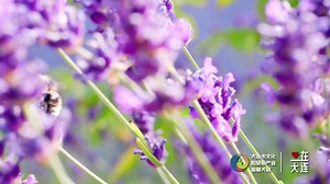 The 2023 Dalian Culture and Tourism Industry Development Conference will kick off on April 18. #tourism #event #DalianChina | Romantic Dalian