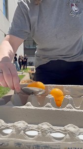 Shawnee Community College on Reels | Facebook