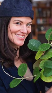 15 reactions | Follow along as Summer Rayne Oakes from Homestead Brooklyn tackles repotting a root-bound hoya plant. With some gentle care and help from a few Espoma Organic potting mixes, this Hoya is sure to brighten up soon! Watch the full video: https://bit.ly/3t5RC9i | Espoma Organic | Facebook