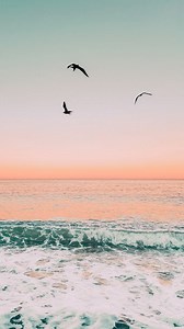 The Best 21 Pinterest Cute Summer Desktop Wallpaper