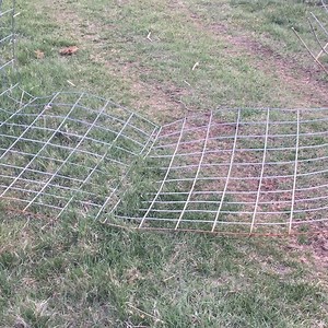 15 reactions | Lacie Lot #18 in the Chrome in the Canyon Premier Mule Sale 7 year old Molly mule If you can get to Cortez, Colorado before the sale, come give her a spin. Bryce Canyon Mule Days #mules #mountainmule #huntingmule #ridingmule #packmule #mulesale #mulemanship #muleskinner #muleforsale #muledays #premiermulesale #trailriding #mule #longears #forsale #familymule #trailmule #ranchmule | Cross Country Equine | Facebook