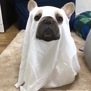 HAPPY HALLOWEEN!! | Station North Tool Library