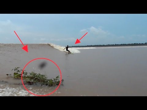 fenomena alam aneh di riau bisa untuk surfing ber jam jam 😱😱😱
