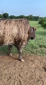 Pretty Pink Acres on Reels | Facebook