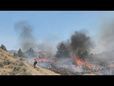 Update on Oregon wildfires, July 2, 2021