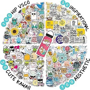 300 Pcs VSCO Sticker Pack for Water Bottle, Waterproof Hydroflask Cute Vinyl Aesthetic Stickers, Laptop Computer Skateboard Phone Stickers for Teens Kids Adults 300 Stickers