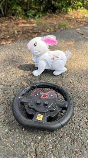 Remote Control RC Rabbit Toys With For Testing