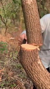 Great skills of smart people | Superstar Krishna Library | Facebook