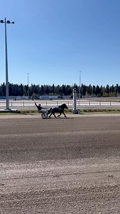 PowerPark - Ravikauden avaus 18.5.2025 - PowerPark Winner, ponilähtö: NIEMENPELLON JÄMÄKKÄ / Melissa Koskela #kesä2025 #powerparkinravit #ravit #ravikesä2025 #härmä #powerpark #visitkauhava #raviurheilu #ponit #powerparkinravirata #winner #voittajat #powerparkwinner #kuninkuusravit2028 | Powerparkin Ravirata