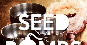 How to Make Seed Bombs