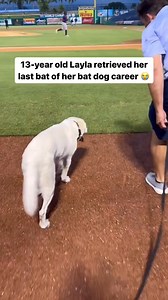 The goodest girl in baseball 🥹 (via Clearwater Threshers) | DraftKings