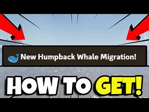 HOW TO FIND HUMPBACK WHALE MIGRATIONS IN FISCH! (ROBLOX)