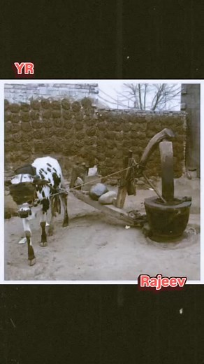 11K reactions · 2.3K shares | #oldisgold #oldsongs #oldmemories #tributeto #manojkumarji ❤ | Rajeev Kumar | Facebook