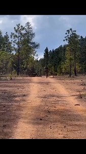 93K views · 3.5K reactions | Unaezadhani ni movie kumbe ni congo . | Mwijaku | Facebook