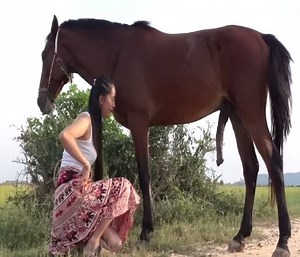 Horse Basic | Smile ka naman kunti lng